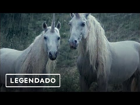 ☆LiL PEEP☆ x horsehead - right here (legendado)