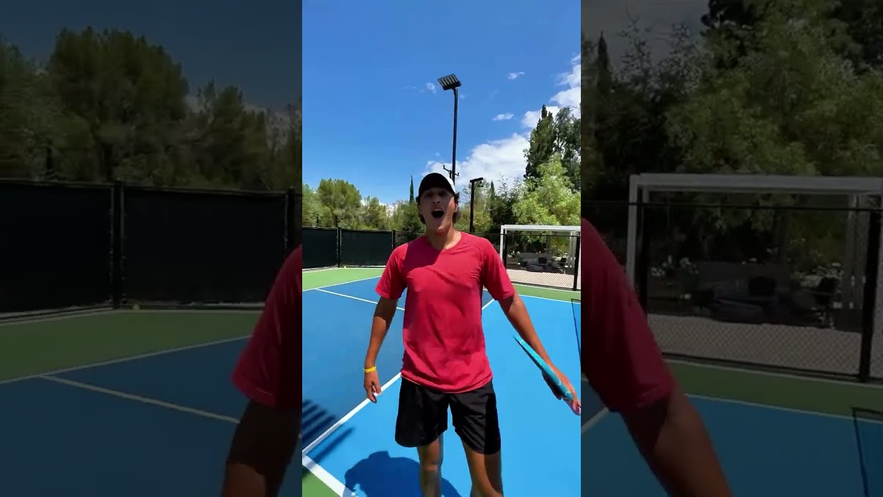 A Creative Masterpiece 🤌 #pickleball #pickleballislife #pickleballrocks #pickleballaddict