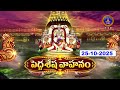 Nagulachavithi || Peddasesha Vahanam || Tirumala || 25-10-2025 || SVBC TTD