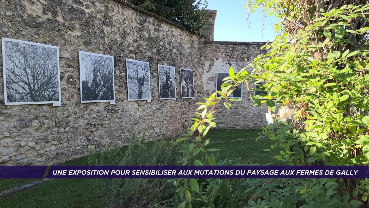 Yvelines | Une exposition pour sensibiliser aux mutations du paysage aux fermes de Gally