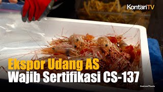 Ekspor Udang ke AS Wajib Sertifikasi Bebas Cesium 137, KKP Siapkan Skema Nasional