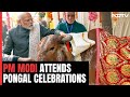 Pongal Depicts Emotion Of Ek Bharat Shreshtha Bharat: PM Modi