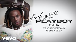 Fireboy DML, Chris Brown - Diana (Official Visualizer) ft. Shenseea