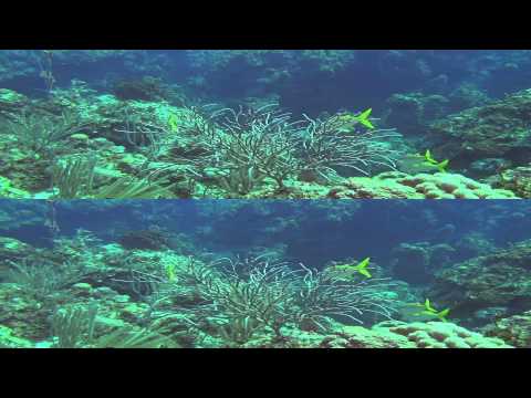 Багамы 3D (HD)