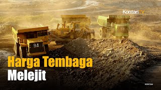 Harga Tembaga Melejit Gara-Gara Suplai Ini Untung Ruginya