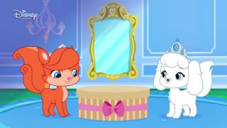 Pelkov - Klobk na derby