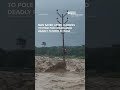 Man saved after clinging to pole for hours amid flooding in India  - 01:05 min - News - Video