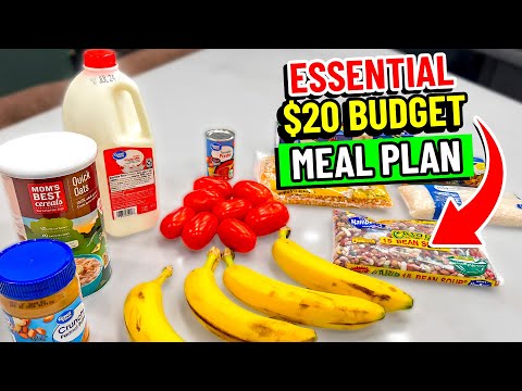 😱 $20 Buys a Week of Meals: The Essential Budget Meal Plan