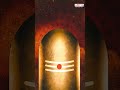 నాలోన గల శివుడు - Popular Lord Shiva Song With Telugu Lyrics | Tanikella Bharani | #bhaktisongs  - 01:00 min - News - Video