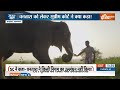 Supreme Court Gives Clean Chit To Vantara: वनतारा की SIT जांच में क्या सच्चाई सामने आई?|Anant Ambani  - 03:34 min - News - Video