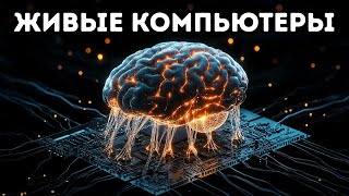 Ученые создали ультрамощный компьютер из человеческой клетки