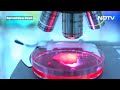Tata Cancer Tablet | Tata Institute Claims Success In Cancer Treatment - With Rs 100 Tablet  - 03:11 min - News - Video