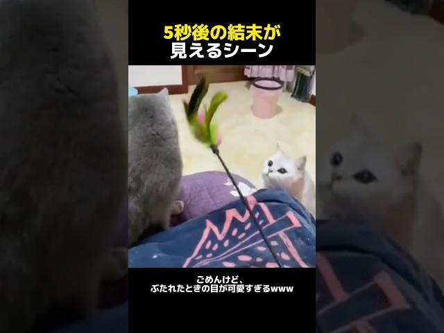 5秒後の結末が見えるシーン