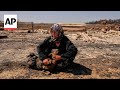 Scenes of devastation in Turkey as wildfires force thousands to evacuate