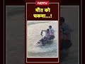 Rajasthan Flood | उफनती नदी पार कर रहा था शख्स, फिर... | Ajmer News | Shorts  - 00:33 min - News - Video