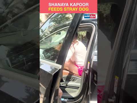 Shanaya Kapoor Spotted Feeding Stray Dogs 24K views  play Short