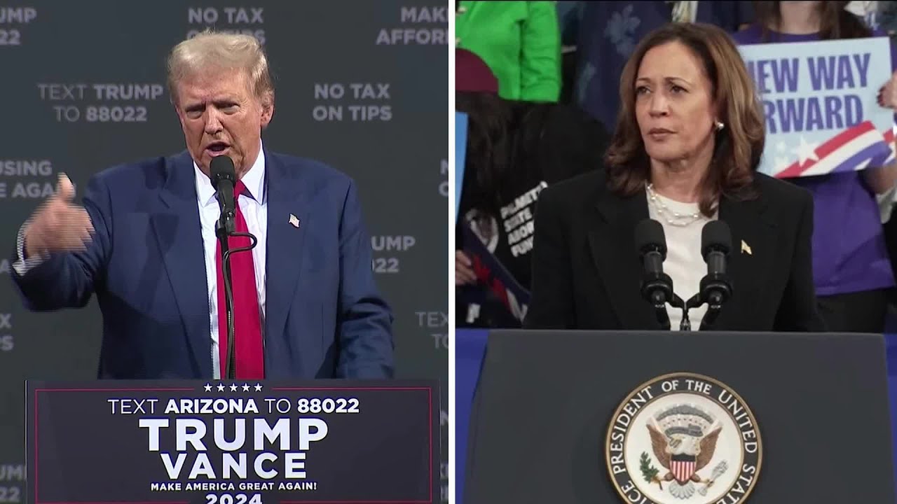 Furman: "Crazy" Tariffs to Hurt US Under Trump or Harris