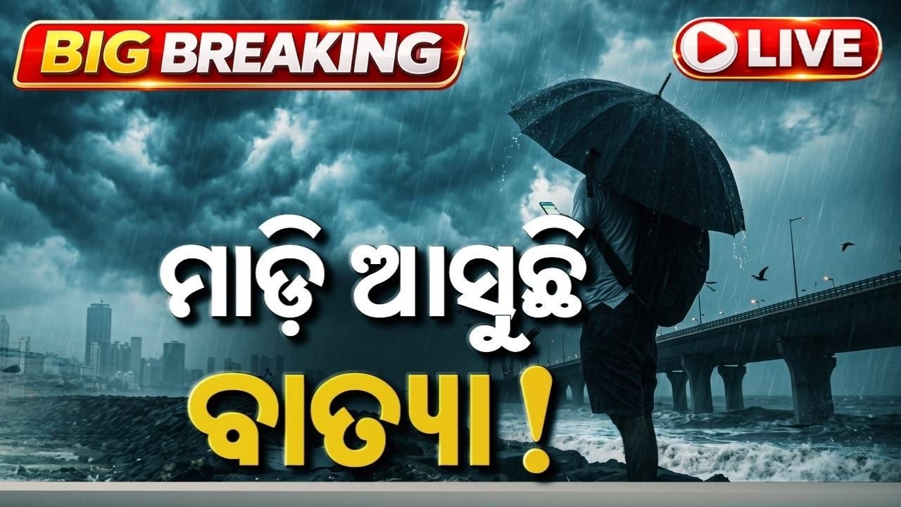 🔴Live | ମାଡ଼ି ଆସୁଛି ବାତ୍ୟା ! | Cyclone Alert | WeatherUpdate | Cyclone Dolphin | Odisha | Argus News