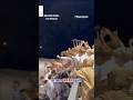 Railing COLLAPSES during high school win celebration #shorts #us #foxnews #soccer #sports #viral