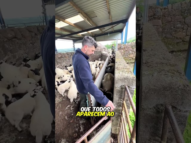 Não Pode Errar 😂