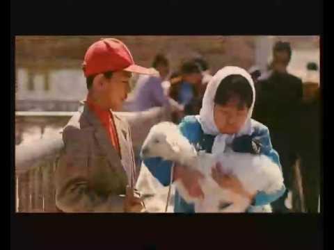 The Story of Xiao-Yan'