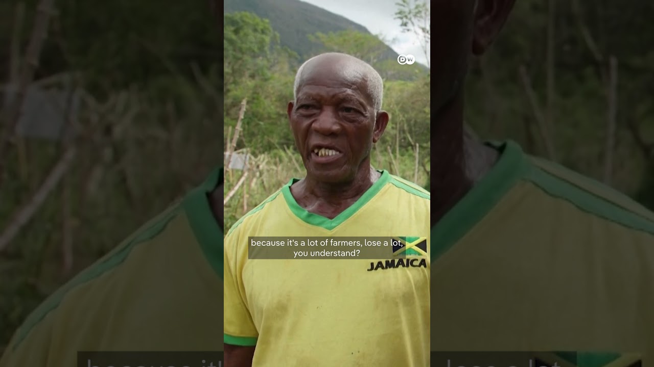 Jamaica assesses damage after Hurricane Melissa | DW News