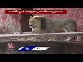 Contaminated Water Threat Flagged At  Nehru Zoological Park | Hydeabad | V6 News  - 02:50 min - News - Video