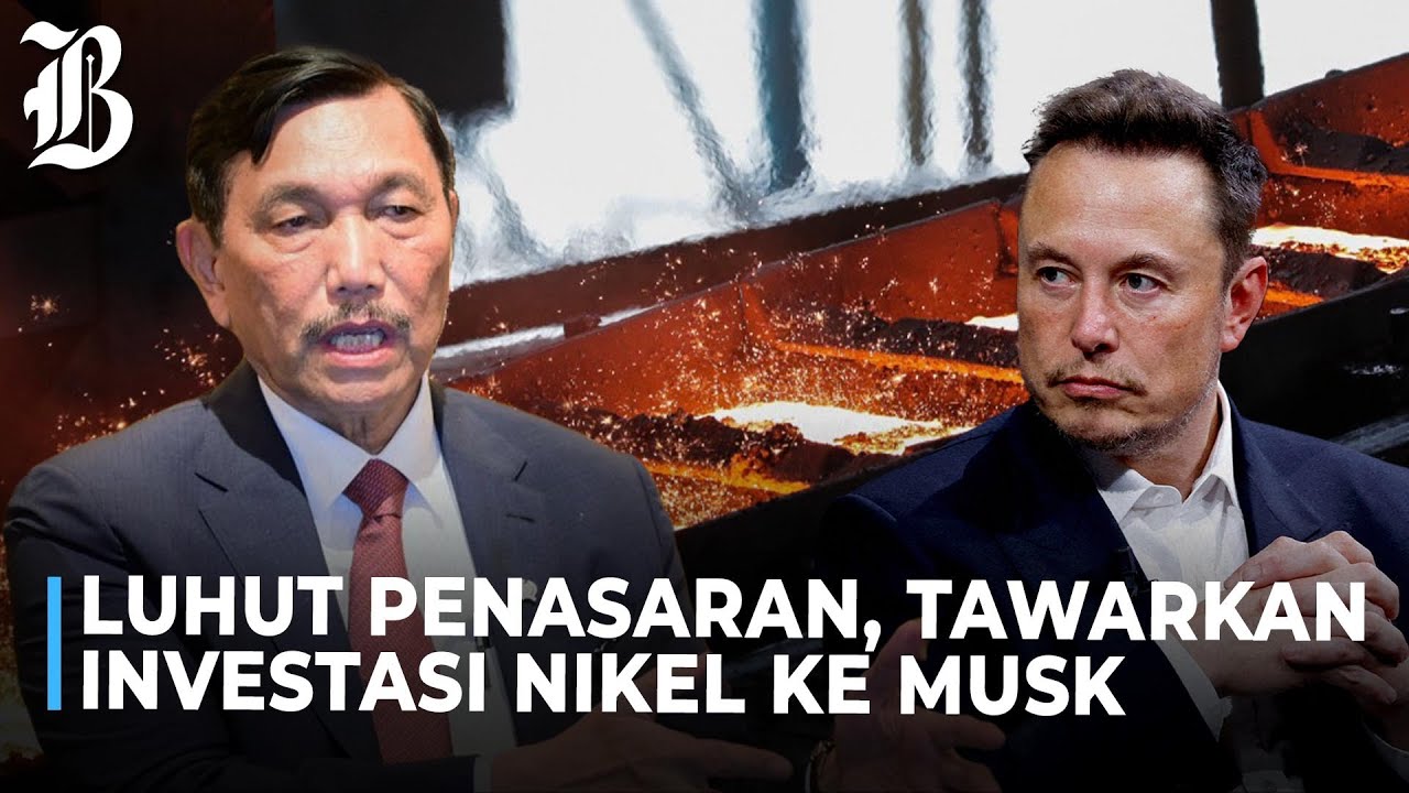 Luhut Sulit Rayu Elon Musk Investasi di RI, Apa Yang Salah?