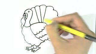 איך לצייר תרנגול הודו ? 