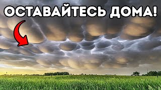 100 советов для ситуаций, требующих быстрого мышления. Как развить скорость реакции