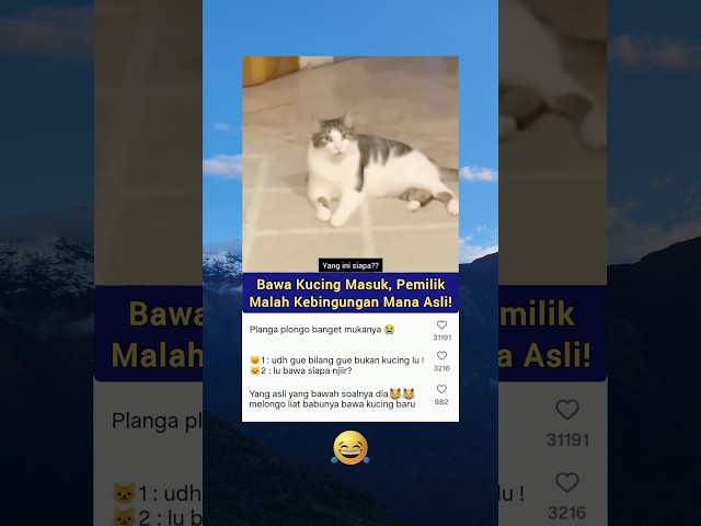 Babu Sama Majikan Sama Sama Kebingungan! 😂