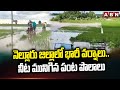 నెల్లూరు జిల్లాలో భారీ వర్షాలు.. నీట మునిగిన పంట పొలాలు | Heavy Rains in Nellore | ABN Telugu