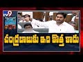 CM Jagan announces 3 capitals in Assembly