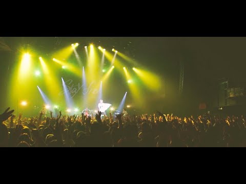 YELLOW FEVER DANCE(LIVE)/ ASH DA HERO