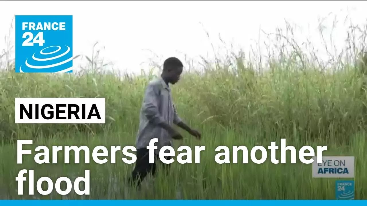 In Nigeria farmers fear another flood as Cameroon opens dam • FRANCE 24 English