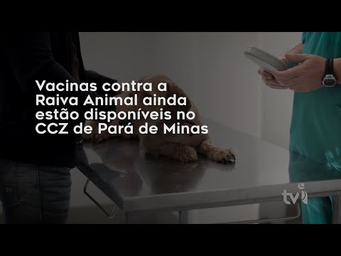 Vídeo: Vacinas contra a Raiva Animal ainda estão disponíveis no CCZ de Pará de Minas