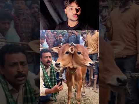 ये वीडियो **Sora AI** ने बनाई है #SoraAI #reactionvideo #comedy #funny