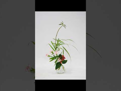 スーパーのお花を百均の小瓶生ける #asmr #生け花 #shorts