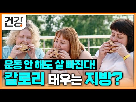 운동 안 해도 살이 빠진다고? 1g당 6000칼로리 태우는 갈색지방! | 과학 다큐 비욘드 | #EBS건강