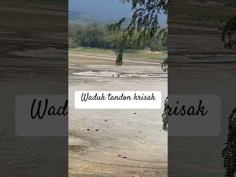 Nelayan #newvideo #nelayantv #fypシ゚viral #shortsyoutube #shortsvideo