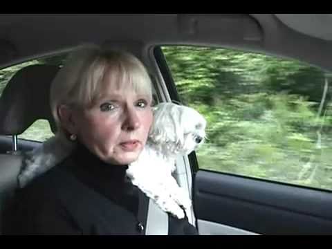 Auto Insurance Quotes - Auto Insurance Scams And Pitfalls To Avoid