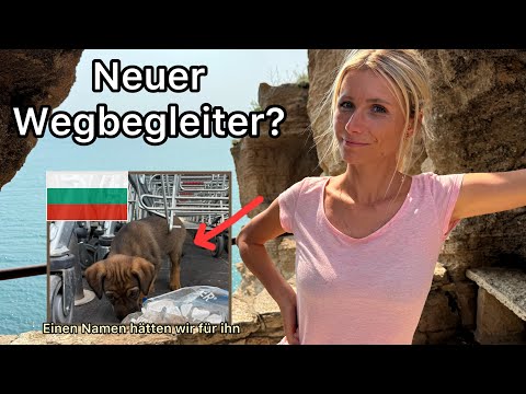 Schwierige Entscheidung für uns | Können wir ihn mitnehmen ? Bulgarien 🇧🇬#5