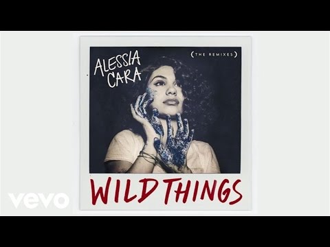 Wild Things (MK Remix)
