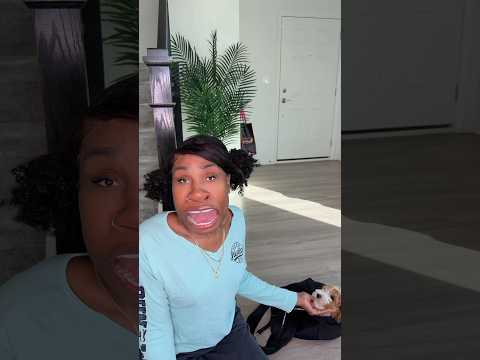 This had us laughing 😂😂 #FallintoShorts #newbugatti #coco #comedy