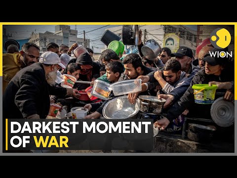 Gaza Food Crisis: Hungry Gazans Scramble For Food Amid War | WION