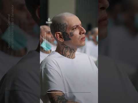 Mass trial for nearly 500 alleged gang members in El Salvador