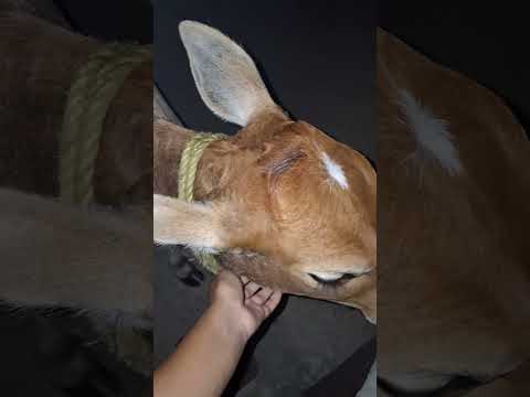 हमारा प्यारा बच्चा