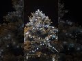 Kapela Góralska Antoniego Gluzy ze Szczyrku Chojnów 9.12.18
