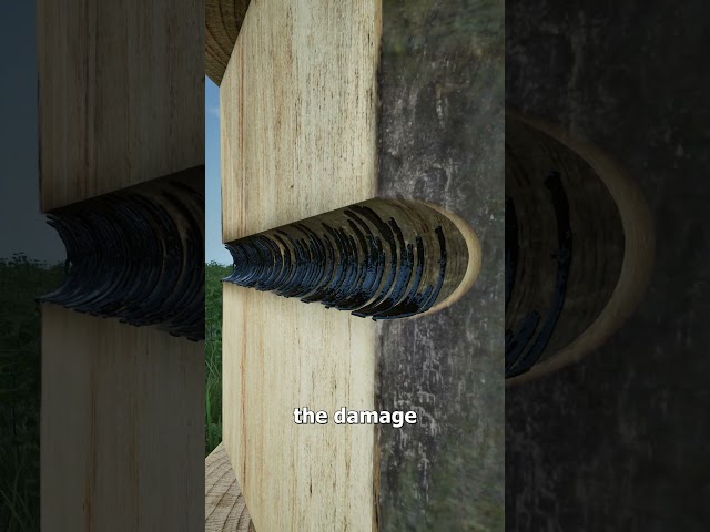 How This Expensive Wood Is Made 🤔