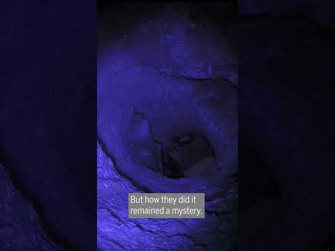 Europe’s largest bat can capture and eat birds midair